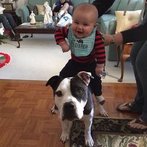 Meet your Posher, Jolene